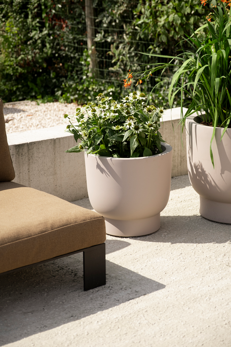 amber grail 30cm balanced beige